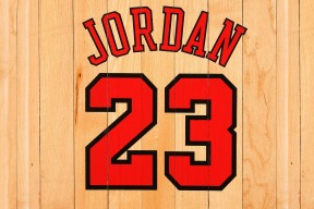 数据复盘：密尔沃基雄鹿八强战对阵罗马，张本智和效率值爆表(密尔沃基雄鹿拿过总冠军吗)